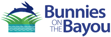 Bunnies on the Bayou